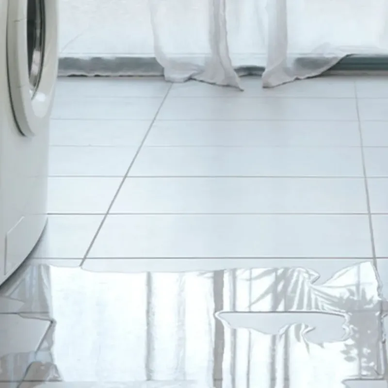 Appliance Leak Cleanup in Irvington, MD