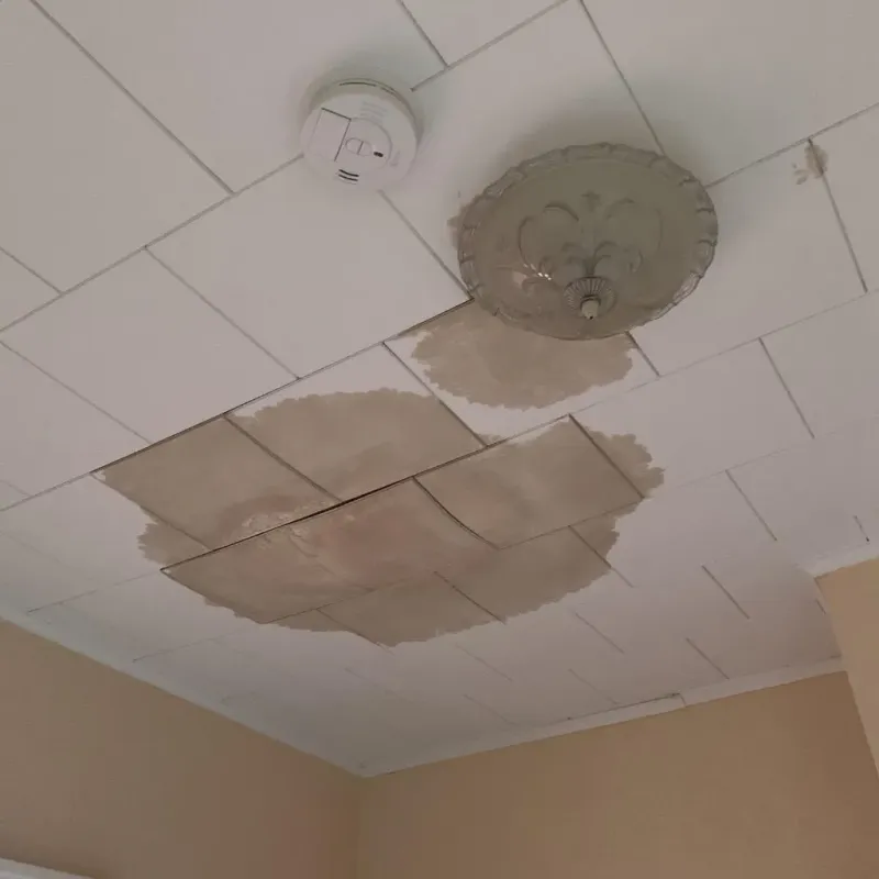 Ceiling Water Damage Repair in Irvington, MD