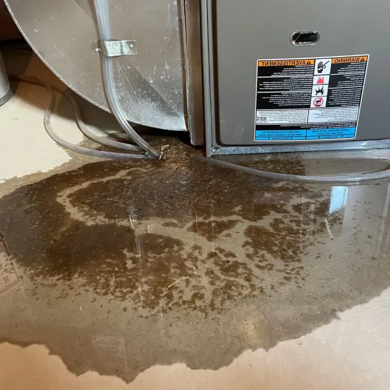 Pipe Burst and Leak Restoration in Irvington, MD