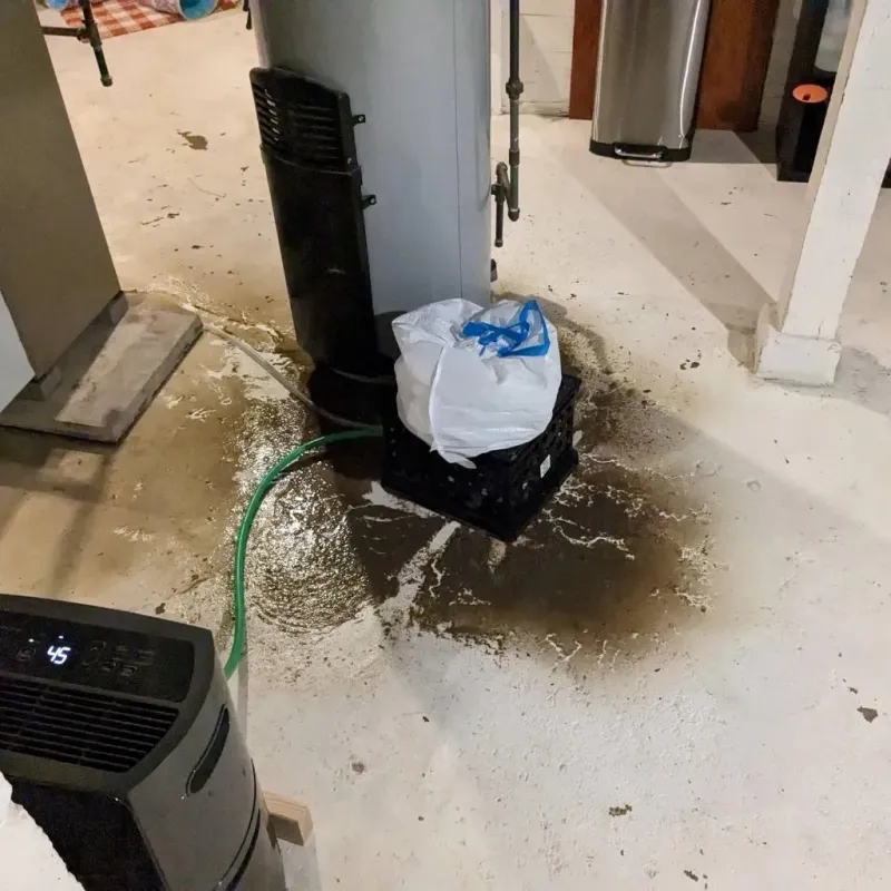Sewage Backup Cleanup Service in Irvington, MD